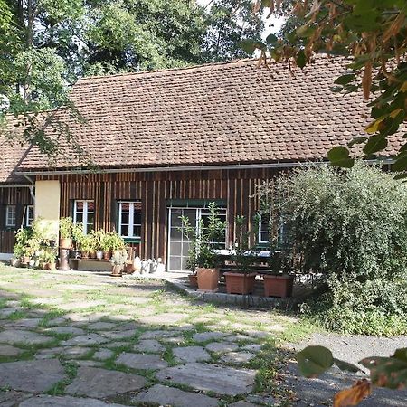 הוילה שטיינץ Presshaus Alte Muehle מראה חיצוני תמונה