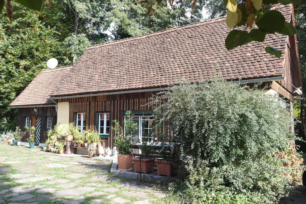 הוילה שטיינץ Presshaus Alte Muehle מראה חיצוני תמונה