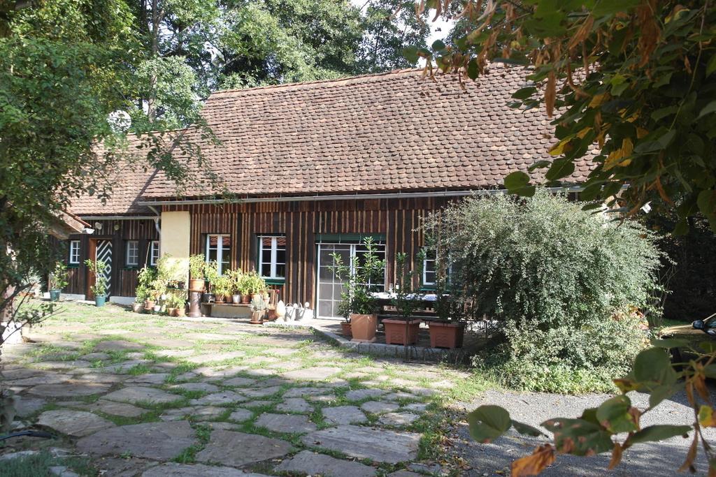 הוילה שטיינץ Presshaus Alte Muehle מראה חיצוני תמונה